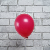 Raspberry 014