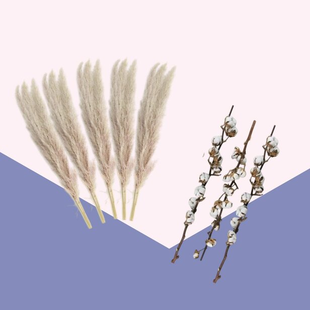 Droogbloemen