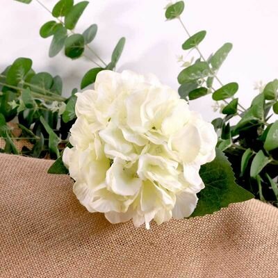 Mooideco - Witte hortensia
