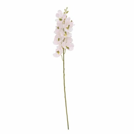 Mooideco - Orchidee tak wit
