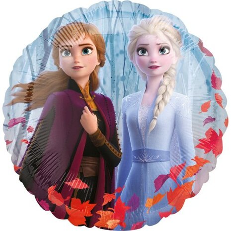 Mooideco - Disney Frozen 2 - 18 inch