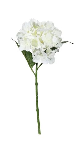 Mooideco - Witte hortensia