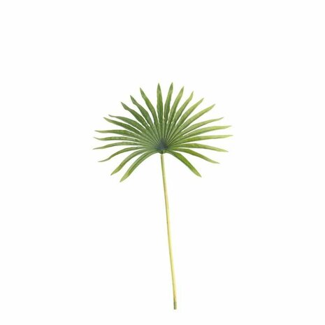 Mooideco - Palm blad