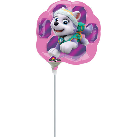 Skye &amp; Everest - Paw Patrol - 14 inch - A35 Anagram (1)