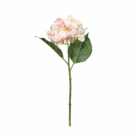 Mooideco - Roze hortensia