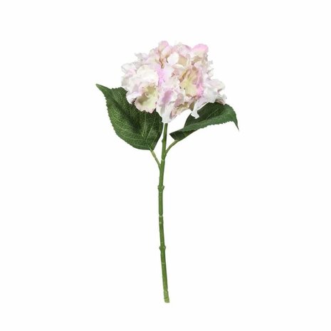 Mooideco - lila hortensia