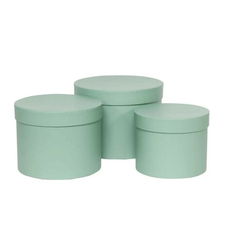 Hoedendozen set van 3 pastel groen