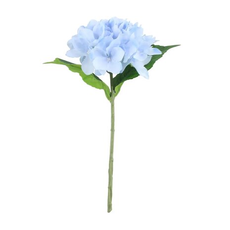 Mooideco - Blauwe hortensia