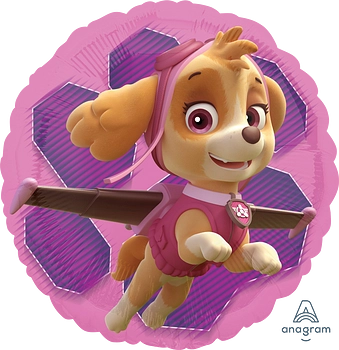 Skye &amp; Everest - Paw patrol -18 inch - S60 Anagram (1)