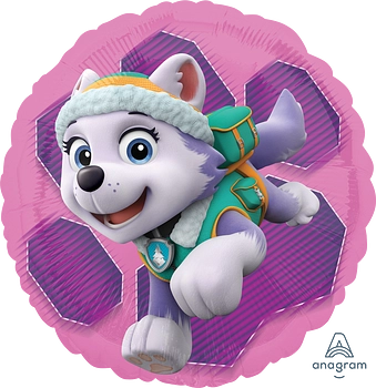 Skye &amp; Everest - Paw patrol -18 inch - S60 Anagram (1)