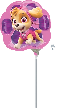 Skye &amp; Everest - Paw Patrol - 14 inch - A35 Anagram (1)