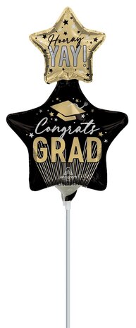 Stripes on stripes Grad - geslaagd - 14 inch - A30 Anagram (1)