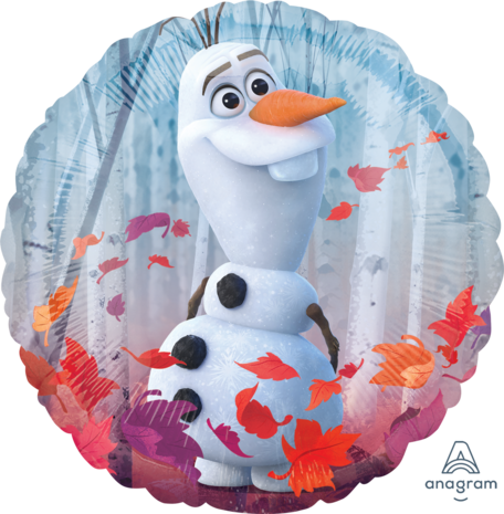 Mooideco - Disney Frozen 2 - 18 inch