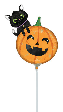 Cat &amp; Pumpkin - Halloween - Airfill - 12inch - a30 Anagram (1)