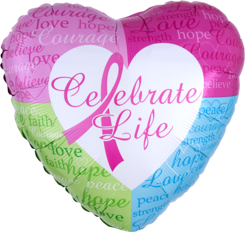 Mooideco - Celebrate Life - Standard HX - 18 inch - S40 - Anagram Balloons