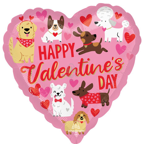 Mooideco - Doggone Cute Valentine - Valentine - 18 inch - S40 Anagram balloons