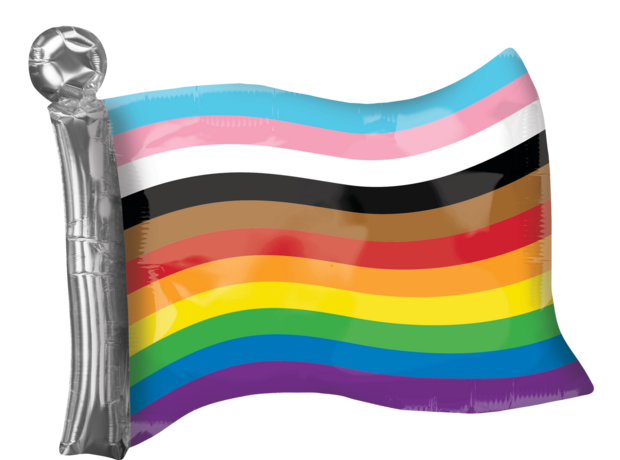 LRG SHP PROGRESS PRIDE FLAG