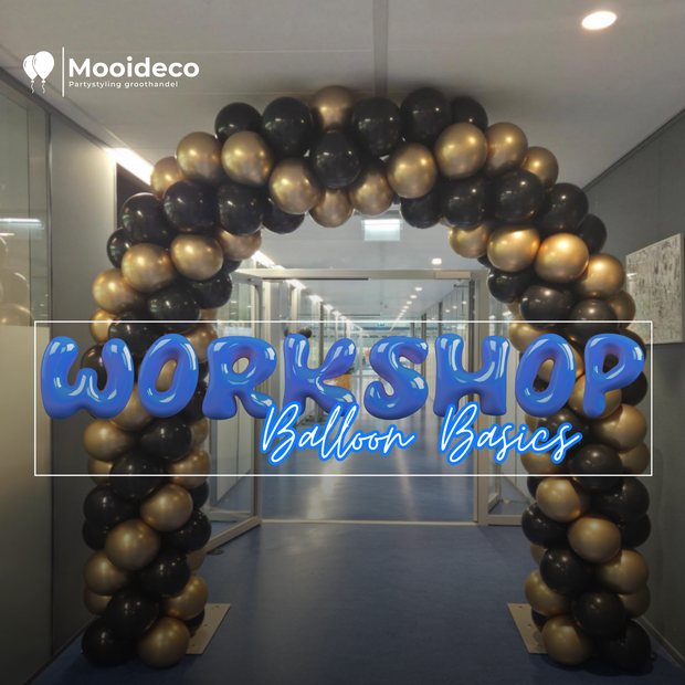 Workshop Balloon Basics - 8 November - 10:00 / 16:00