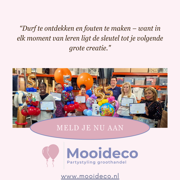 Workshop Balloon Basics - 8 November - 10:00 / 16:00