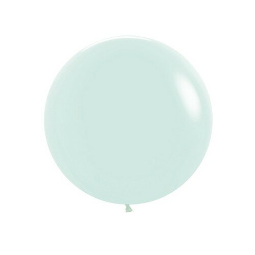 Mooideco - Pastel matte green Sempertex 24 inch