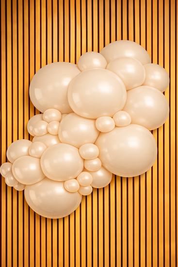 Mooideco - Project pack - Organic balloons - Macaron Salmon - Kalisan balloons