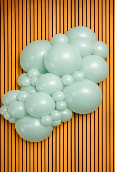 Mooideco - Project pack - Organic balloons - Retro Wintergreen - Kalisan balloons