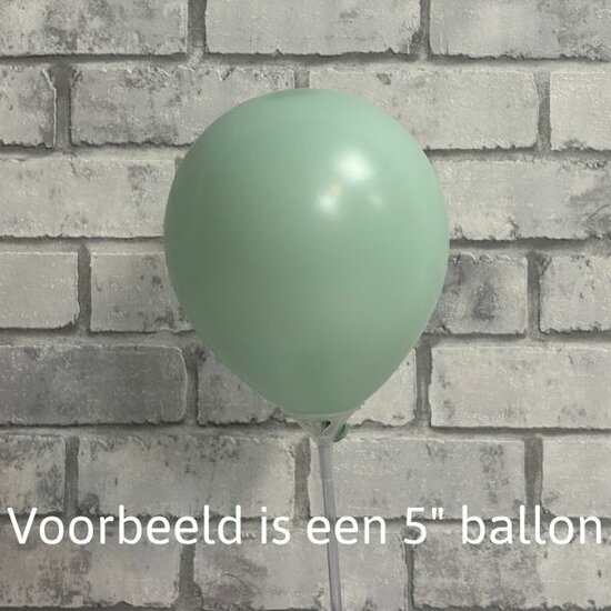 R12 - Pastel Dusk Green Tea - 126 - Retail pack - Sempertex (12x12)