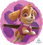 Skye &amp; Everest - Paw patrol -18 inch - S60 Anagram (1)
