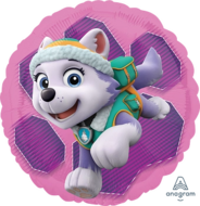 Skye &amp; Everest - Paw patrol -18 inch - S60 Anagram (1)