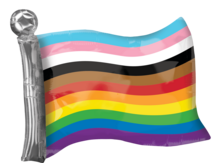LRG SHP PROGRESS PRIDE FLAG