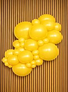 Mooideco - Project pack - Organic balloons - Yellow - Kalisan balloons