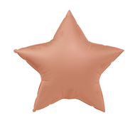 Mooideco - Ster - Vintage Rose - 18 inch - Folat