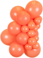 Project Pack - Coral - Kalisan (1)