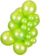 R5 - Metallic Lime Green - Kalisan (50)