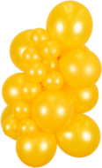 R5 - Metallic Goldenrod - Kalisan (50)