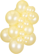 R11 - Pearl Lemon - Kalisan (50)