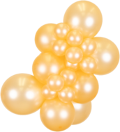 R5 - Pearl Salmon - Kalisan (50)
