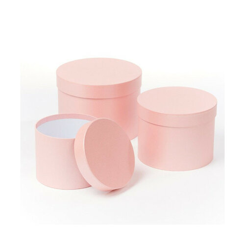 Hat Boxes - pearl pink- Set van 3