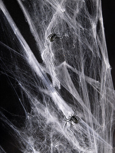 Spinnenweb - wit